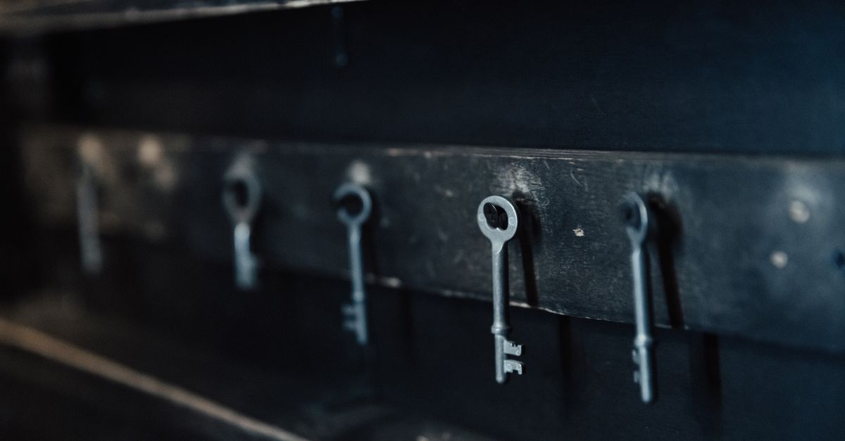 Master Key & Access Systems — Pro Park NY Locksmith